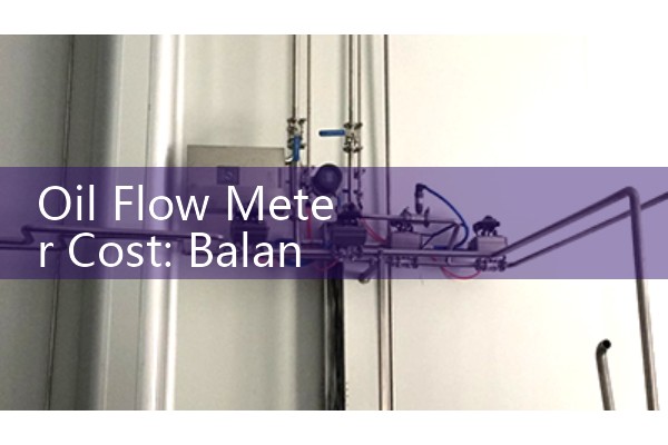 Oil Flow Meter Cost: Balancing Upfront Capital Expense with Lifespan Maintenance